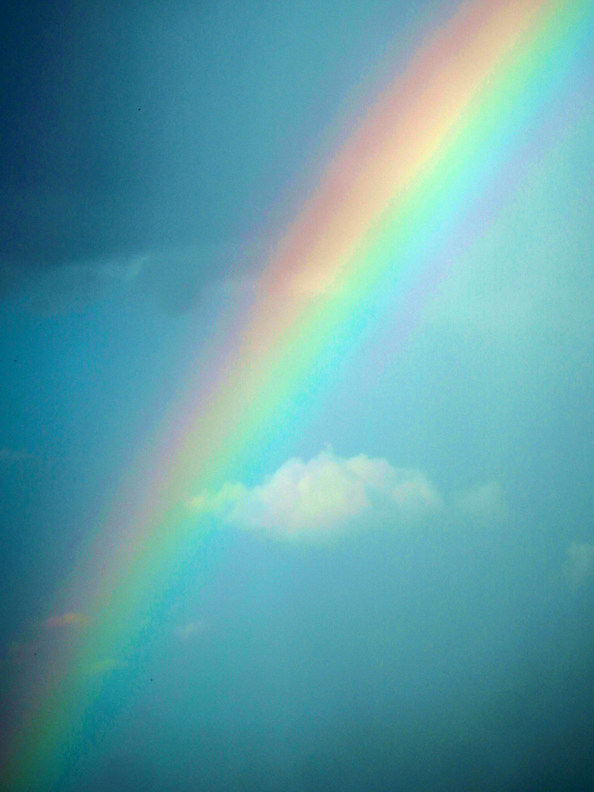 Pride Month and Mental Health: Why Feeling Seen Matters